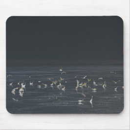 Egrets på Midnight Blue Ocean Musmatta