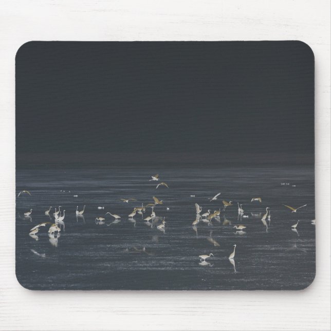 Egrets på Midnight Blue Ocean Musmatta (Framsidan)