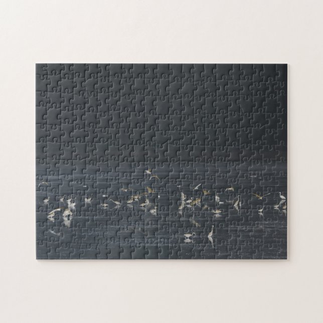 Egrets på Midnight Blue Ocean Pussel (Horisontell)