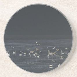 Egrets på Midnight Blue Ocean Underlägg