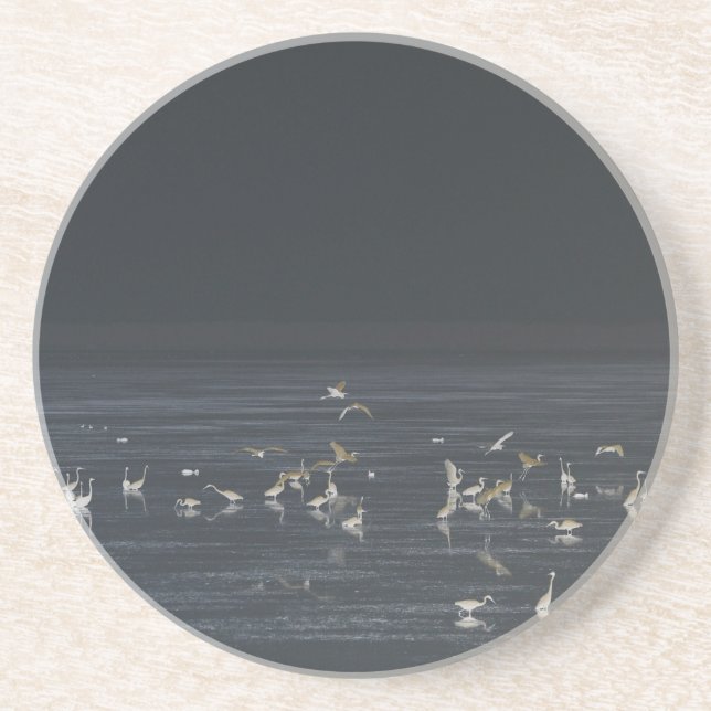 Egrets på Midnight Blue Ocean Underlägg (Framsidan)