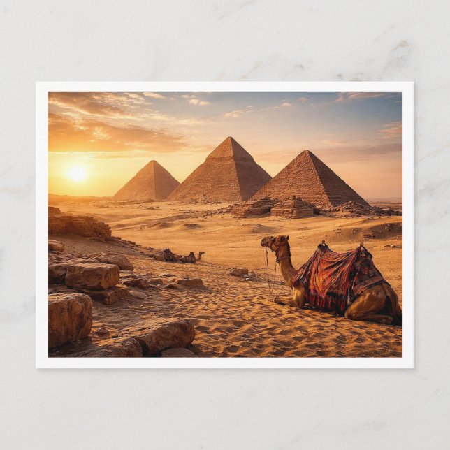 Egypt. Giza Pyramid Complex. Postcard Vykort (Framsida)