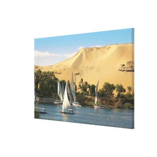 Egypten, Aswan, Nile River, Felucca-segelbåtar, 2 Canvastryck