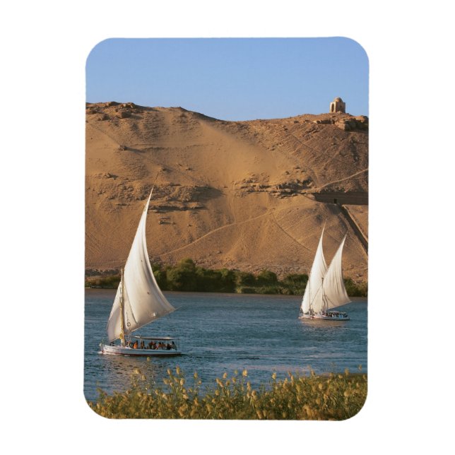 Egypten, Aswan, Nile River, Felucca-segelbåtar Magnet (Vertikal)