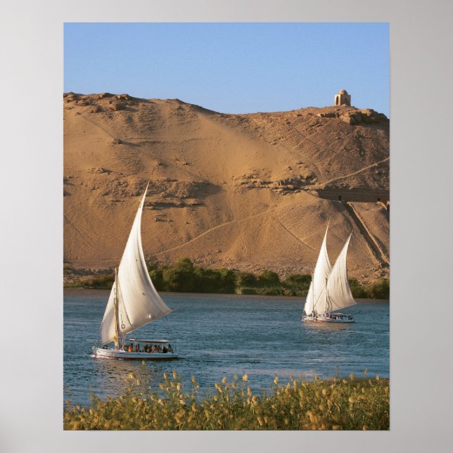 Egypten, Aswan, Nile River, Felucca-segelbåtar Poster (Framsidan)