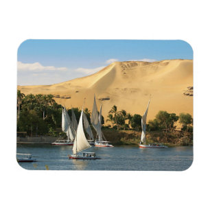 Egypten, Aswan, Nilen, Felucca-segelbåtar, 2 Magnet