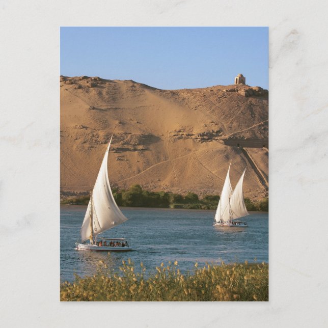 Egypten, Aswan, Nilen, segelbåtar, Vykort (Framsida)