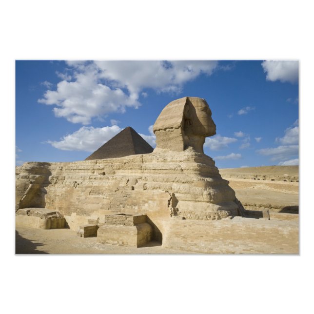 Egypten, Giza. Den stora Sfinxen reser sig ovanför Fototryck (Framsidan)
