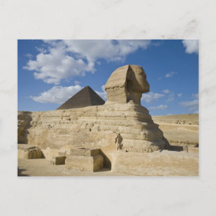 Egypten, Giza. Den stora Sfinxen reser sig ovanför Vykort