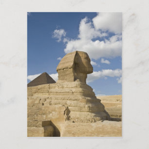 Egypten, Giza. Den stora Sfinxen reser sig ovanför Vykort