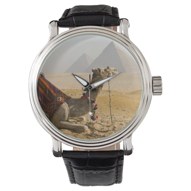 Egypten, Kairo. En ensam kamel Armbandsur (Framsida)