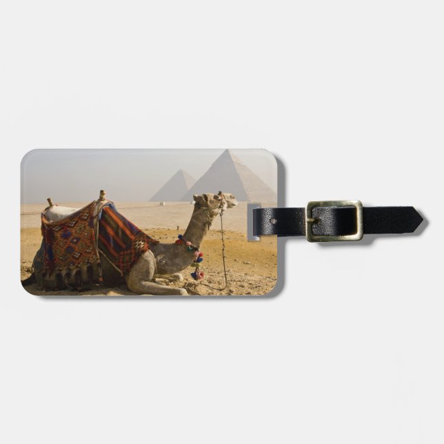 Egypten, Kairo. En ensam kamel Bagagebricka (Horisontell Framsida)