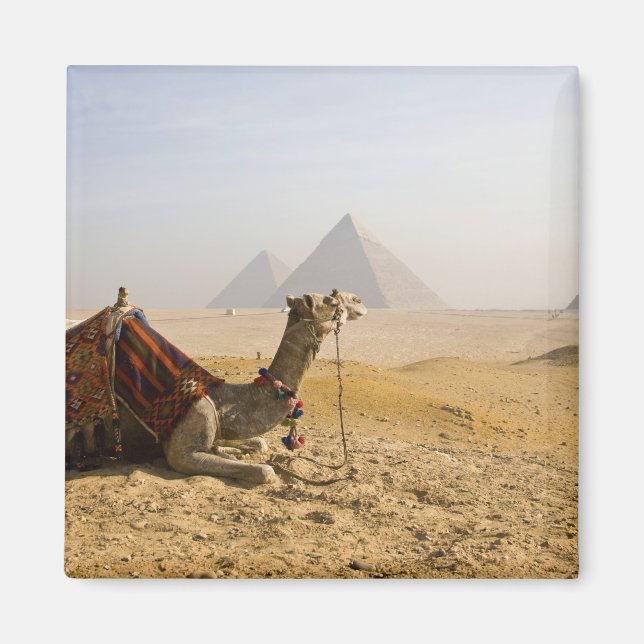 Egypten, Kairo. En ensam kamera Magnet (Framsidan)