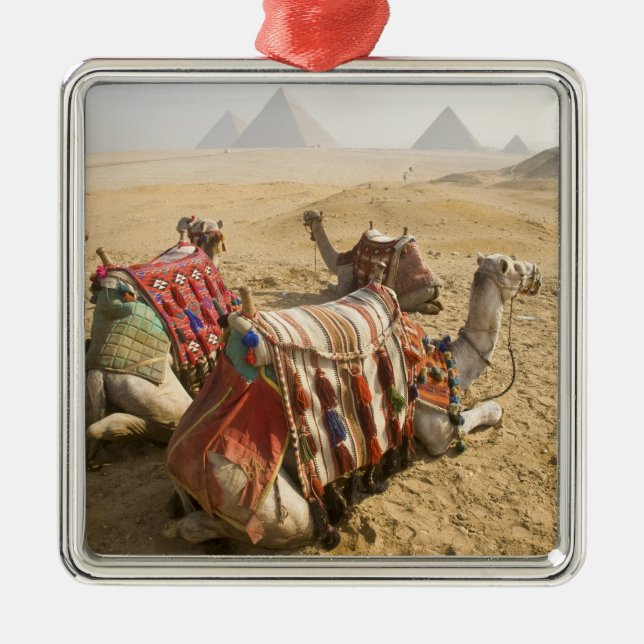 Egypten, Kairo. Vila kameler Julgransprydnad Metall (Framsidan)