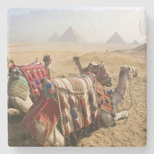 Egypten, Kairo. Vila kameler Stenunderlägg (Framsidan)