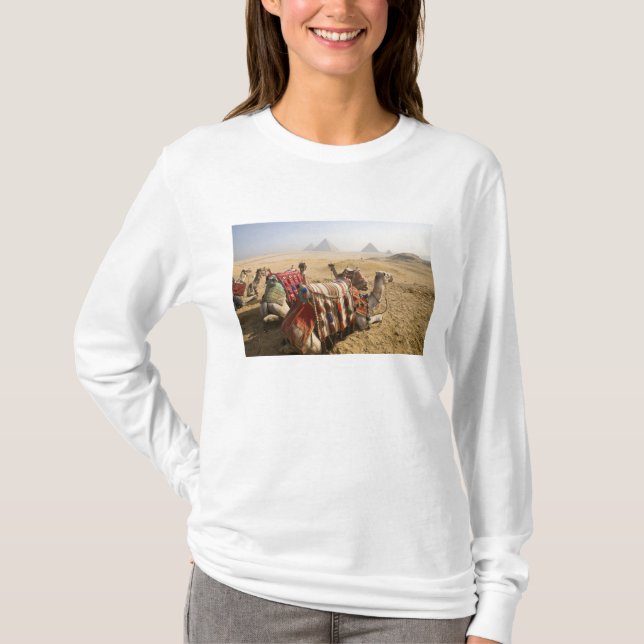 Egypten, Kairo. Vila kameler T-shirt (Framsida)