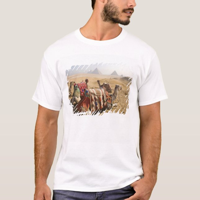 Egypten, Kairo. Vila kameler T-shirt (Framsida)