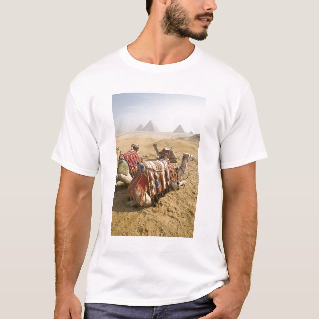Egypten, Kairo. Vila kameler T Shirt (Framsida)