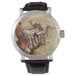 Egypten, Kairo. Vilande kameler Armbandsur