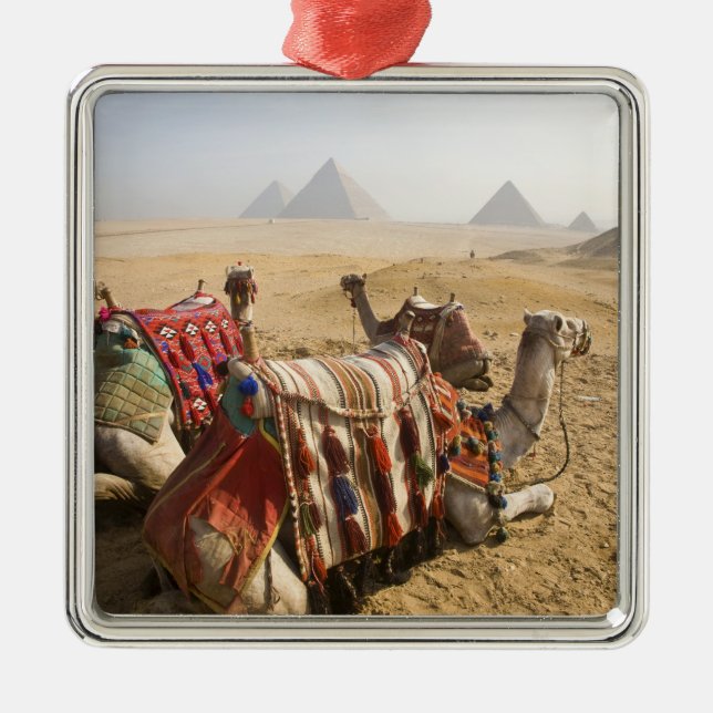 Egypten, Kairo. Vilande kameler Julgransprydnad Metall (Framsidan)