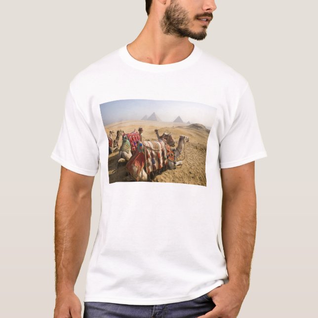 Egypten, Kairo. Vilande kameler Tröja (Framsida)