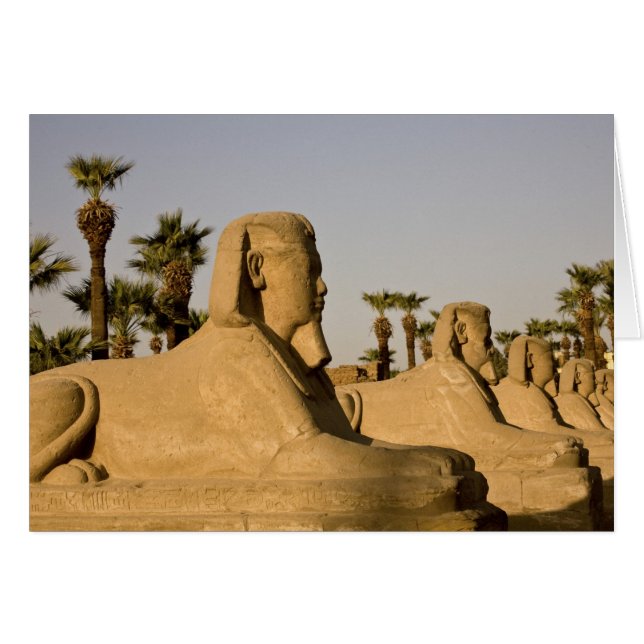 Egypten, Luxor. Avenue of Sphinxes leder till Hälsningskort (Framsidan Horizontal)