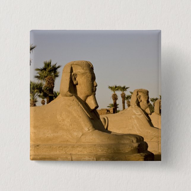 Egypten, Luxor. Sfinksgatan leder till Knapp (Framsida)