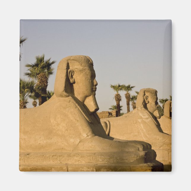 Egypten, Luxor. Sfinksgatan leder till Magnet (Framsidan)