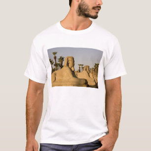 Egypten, Luxor. Sfinksgatan leder till T Shirt