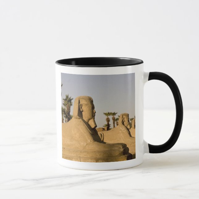 Egypten, Luxor. Sfinxallén leder till Mugg (Höger)