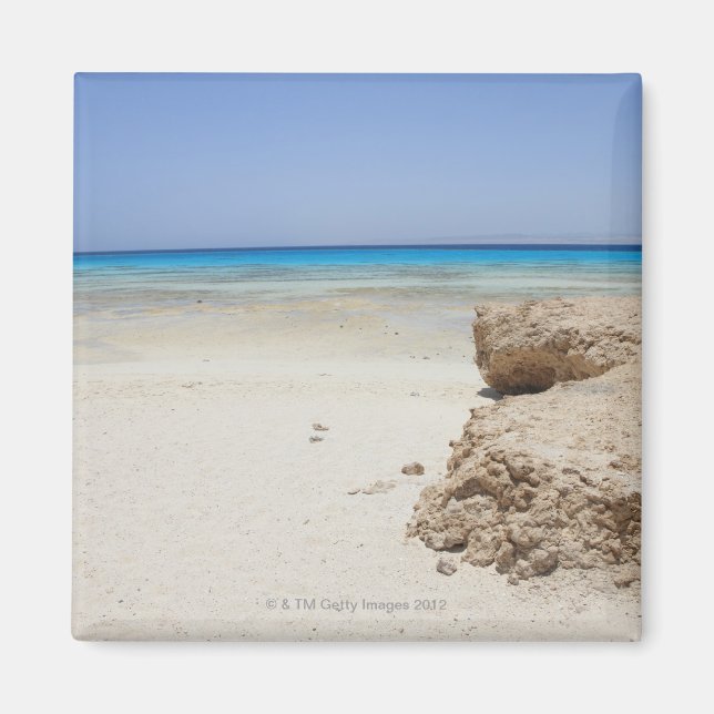Egypten, Röda havet, Marsa Alam, Sharm El Luli, Be Magnet (Framsidan)