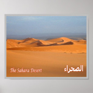 Egypten - Röda havet - Saharaöknen - Poster