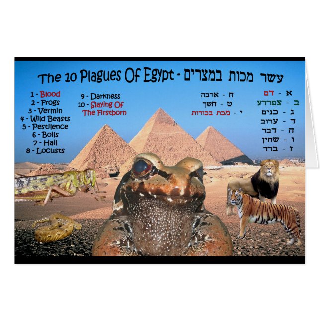 Egyptenens 10 sidor hälsningskort (Framsidan Horizontal)