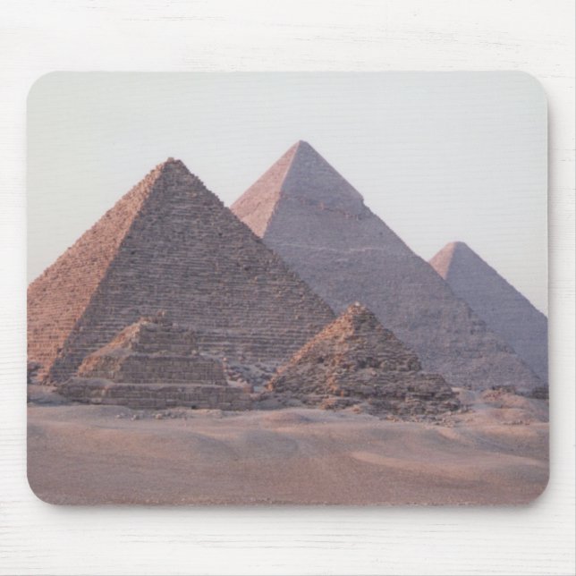 Egyptenens musknapp musmatta (Framsidan)