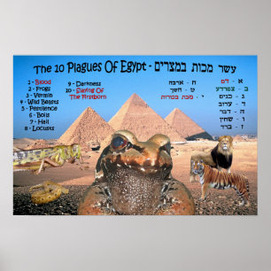 Egyptenens tio sidor - engelska och hebreiska poster