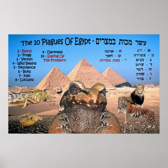 Egyptenens tio sidor - engelska och hebreiska poster (Framsidan)