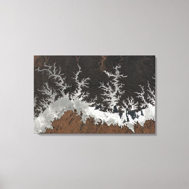 Egypten'Sjö Nasser Canvastryck (Framsida)