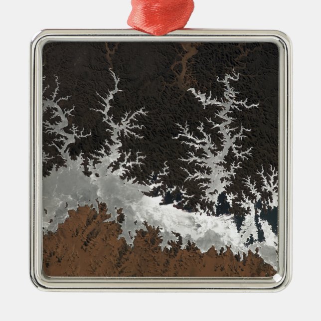 Egypten'Sjö Nasser Julgransprydnad Metall (Framsidan)