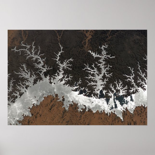 Egypten'Sjö Nasser Poster (Framsidan)