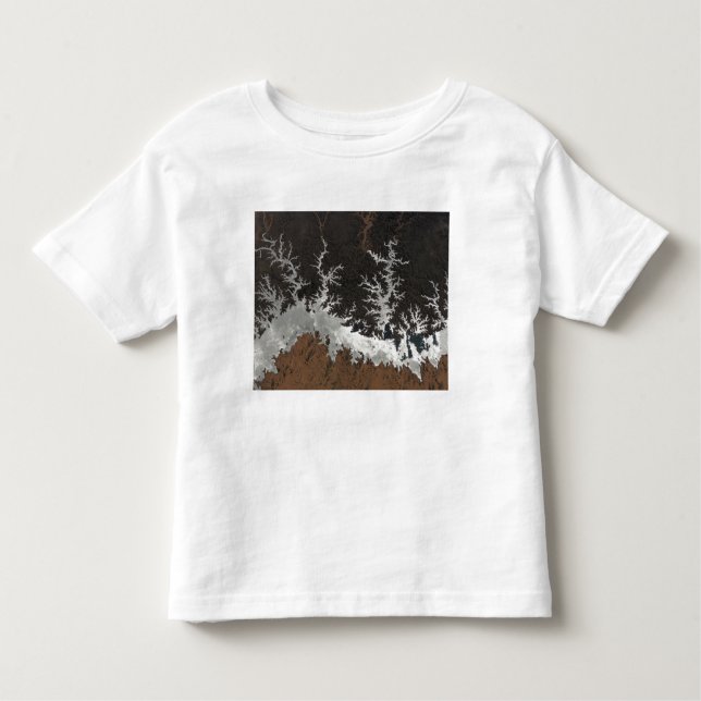 Egypten'Sjö Nasser Tee (Framsida)