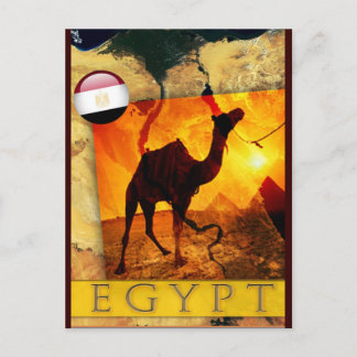 EGYPTIAN CAMEL VYKORT