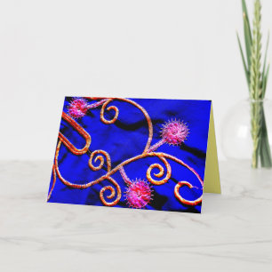 Egyptian Embroidery Kort