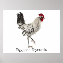 Egyptian Fayoumis Tupp Poster