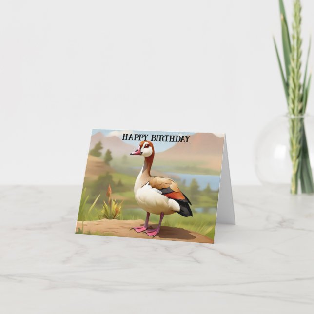 Egyptian Goose by water Kort (Framsida)