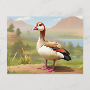 Egyptian Goose by water Vykort