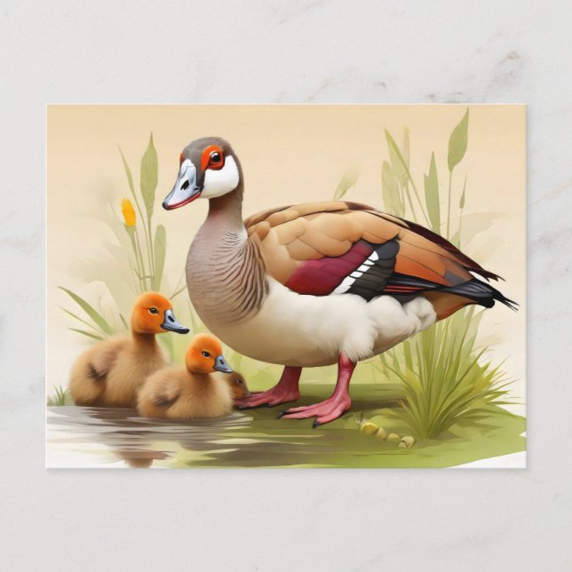 Egyptian Goose med anklings Vykort (Framsida)