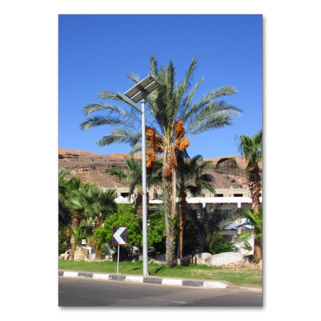 Egyptian handflatan träd bordsnummer (Framsidan)