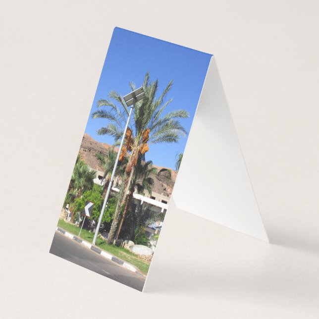 Egyptian handflatan träd kort (Framsida)