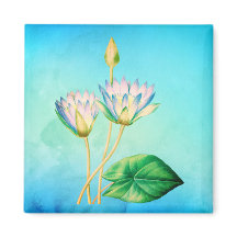 Egyptian Lotus Vintage Botanical Illustration