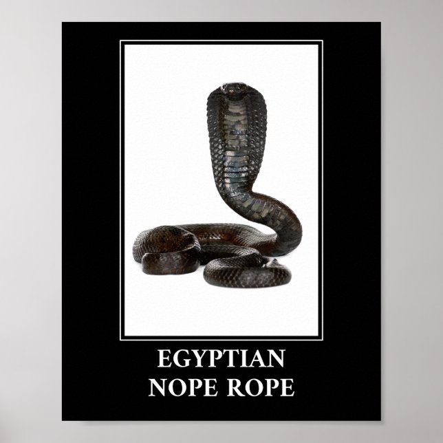 Egyptian Nope Rope - Cobra Snake Danger Poster (Framsidan)